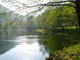 Naturbadesee Helmbachweiher