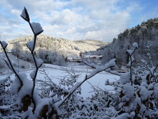 Ferienwohnung Lambrecht Umgebung 37