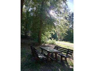 Holiday apartment Lambrecht Environment 38