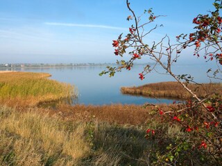 Landschaft