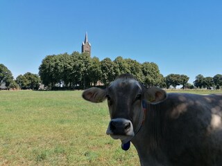 Holiday apartment Bedburg-Hau Environment 40