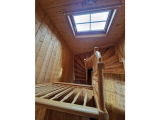 Alpenhut Falkertsee Kenmerken 26