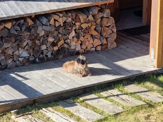 Alpenhut Falkertsee Buitenaudio-opname 12