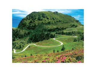 Capanna alpina Falkertsee Ambiente 36