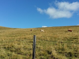 Alpenhut Falkertsee Omgeving 37