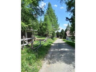 Alpenhut Falkertsee Omgeving 34