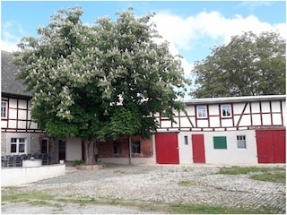 Blick auf Hof und Remise