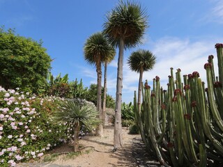 Casa per le vacanze Playa de San Juan Ambiente 27