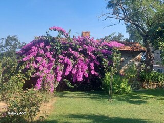 Appartamento per vacanze Scandicci Ambiente 30