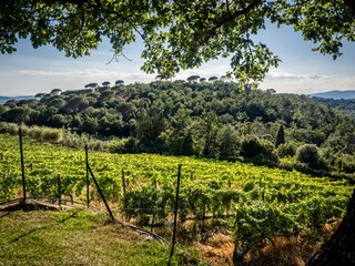 Appartamento per vacanze Scandicci Registrazione all'aperto 11