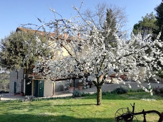 Vakantieappartement Scandicci Buitenaudio-opname 12