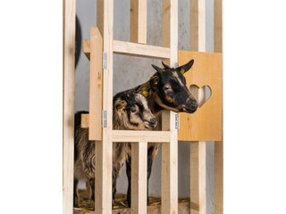 Appartamento per vacanze Gsies Registrazione all'aperto 13