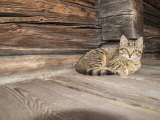 Appartamento per vacanze Gsies Registrazione all'aperto 16