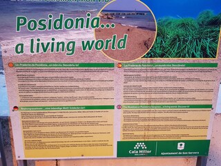 Appartamento per vacanze Cala Millor Documento 38