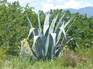 Villa Stimigliano Environnement 25