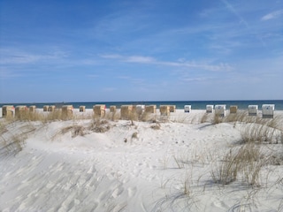 Absolut strandnah