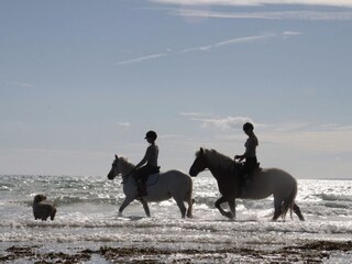 Strand reiten in der Nähe