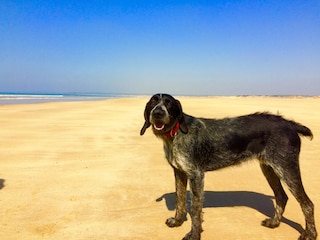 Casa per le vacanze Portbail Ambiente 38