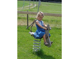 Appartamento per vacanze Seeham Ambiente 12