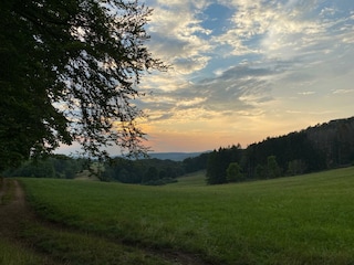 Spaziergang hinterm Haus