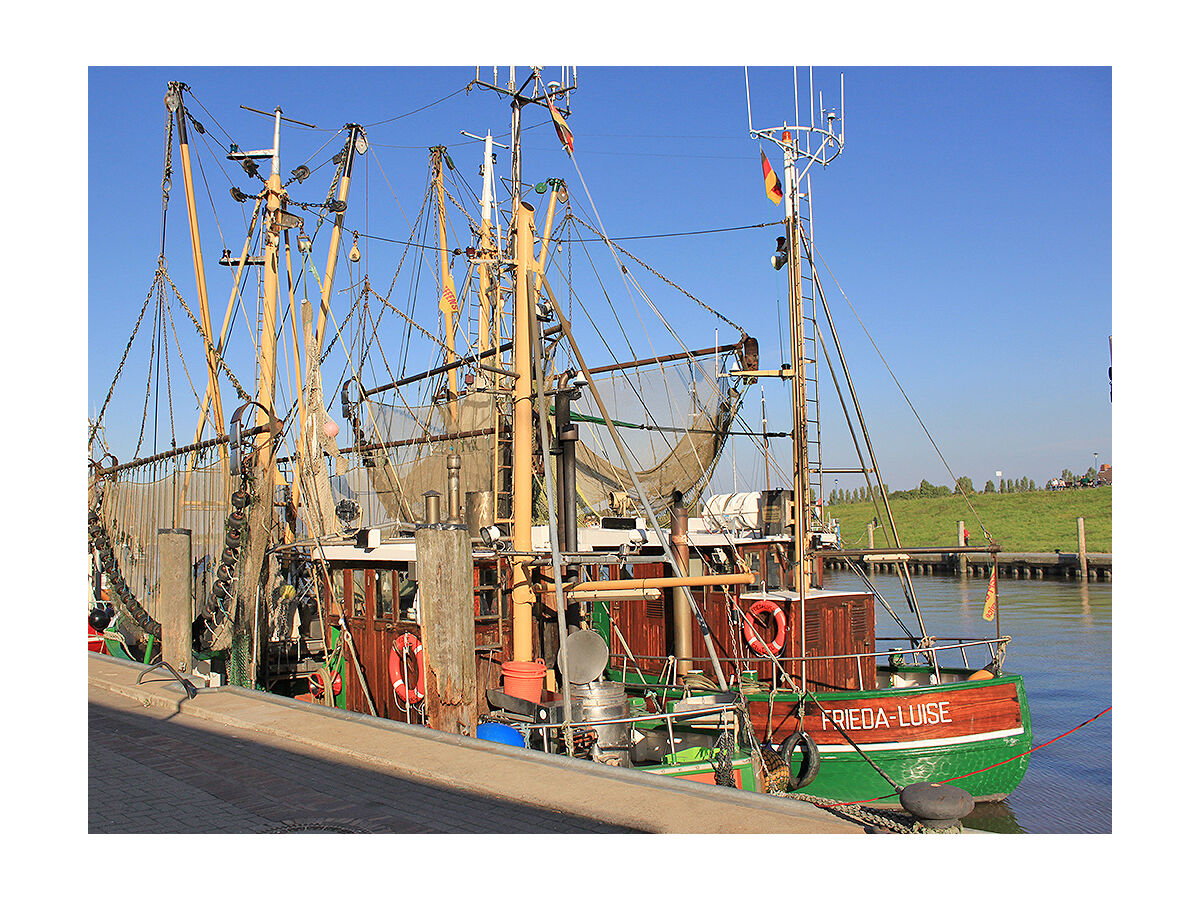 Krabbenkutter im Hafen von Greetsiel