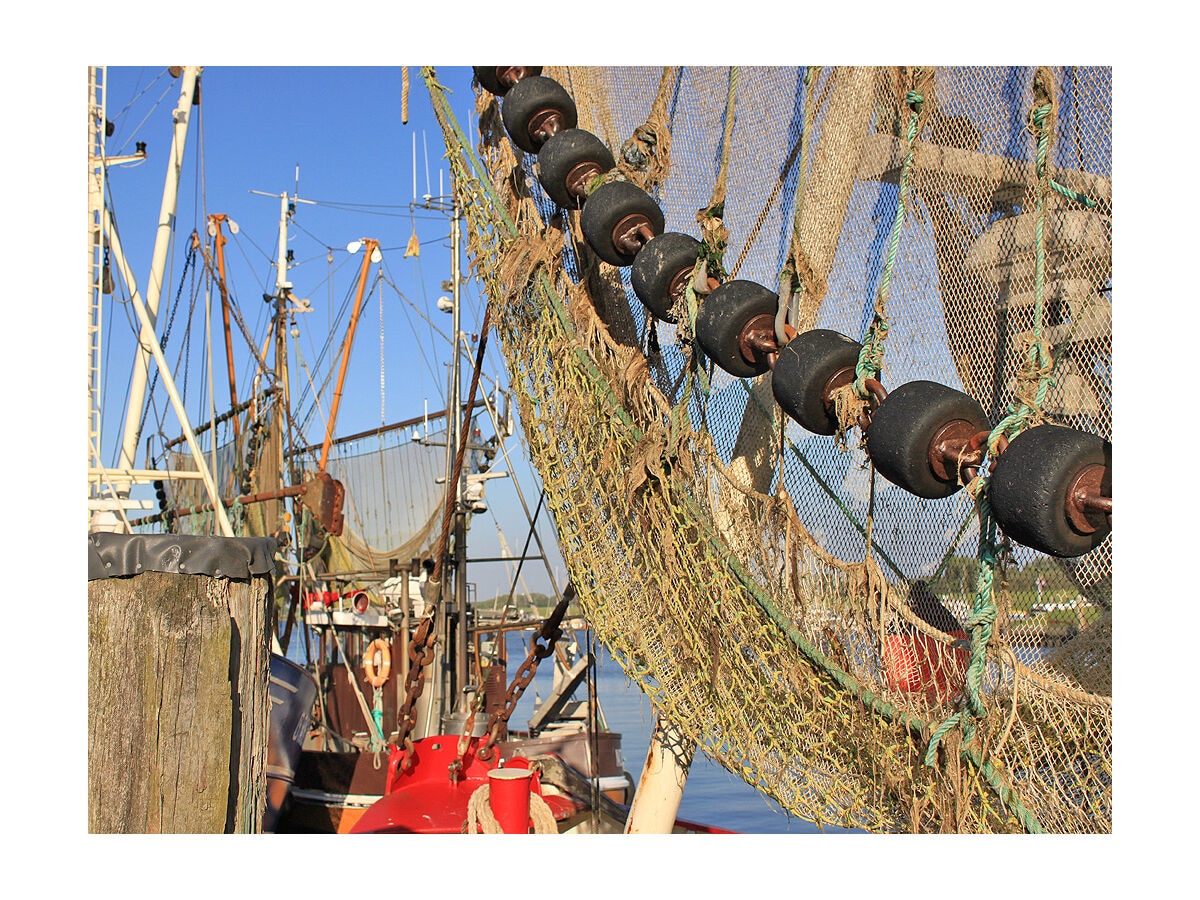 Krabbenkutternetze im Hafen von Greetsiel