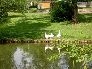 Blick zur Bühler