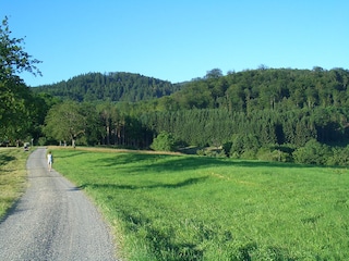 Die nähere Umgebung lädt zum Wandern und Spazieren ein.