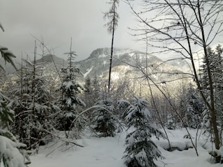 Winterwanderung in Waidring