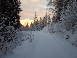 Spaziergang im Pillerseetal, 2024