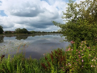 Mühlenteich zum Angeln