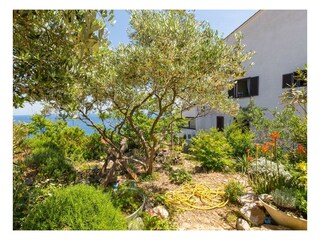 Appartamento per vacanze Mali Losinj Registrazione all'aperto 4