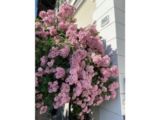 Vakantieappartement Bad Aussee Buitenaudio-opname 2