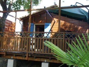 Holiday house Chalet Bleu - Bias - image1