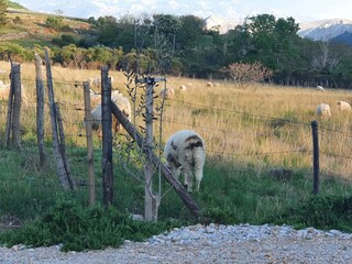 Appartamento per vacanze Baska Registrazione all'aperto 4