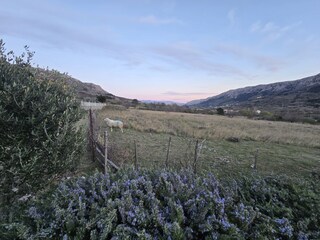 Frühling 2026 in  Baška