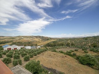 Holiday house Welt Outdoor Recording 4