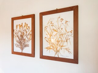 Ferienhaus Piandimeleto  38