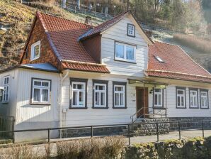 Holiday house Ferienhaus mit eigener Terrasse - Wildemann - image1