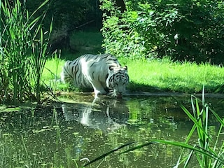 Tierpark Thüle