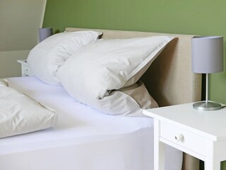 Casa per le vacanze Eckernförde Caratteristiche 14