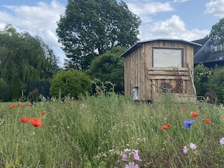 Unsere Gartensauna ... auch für Gäste