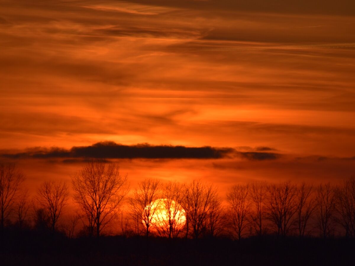 Holiday apartment "Landlust" - Environment photo 27