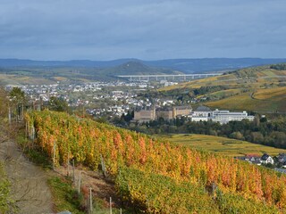 Casa per le vacanze Andernach Ambiente 25