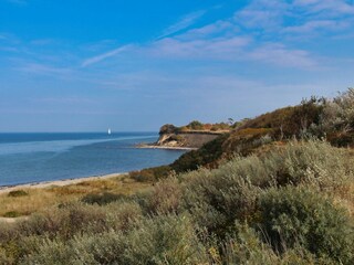 Das Gräsermeer der Dünen