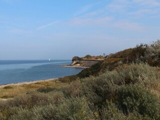 Das Gräsermeer der Dünen
