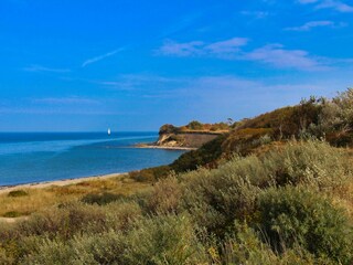 Das Gräsermeer der Dünen