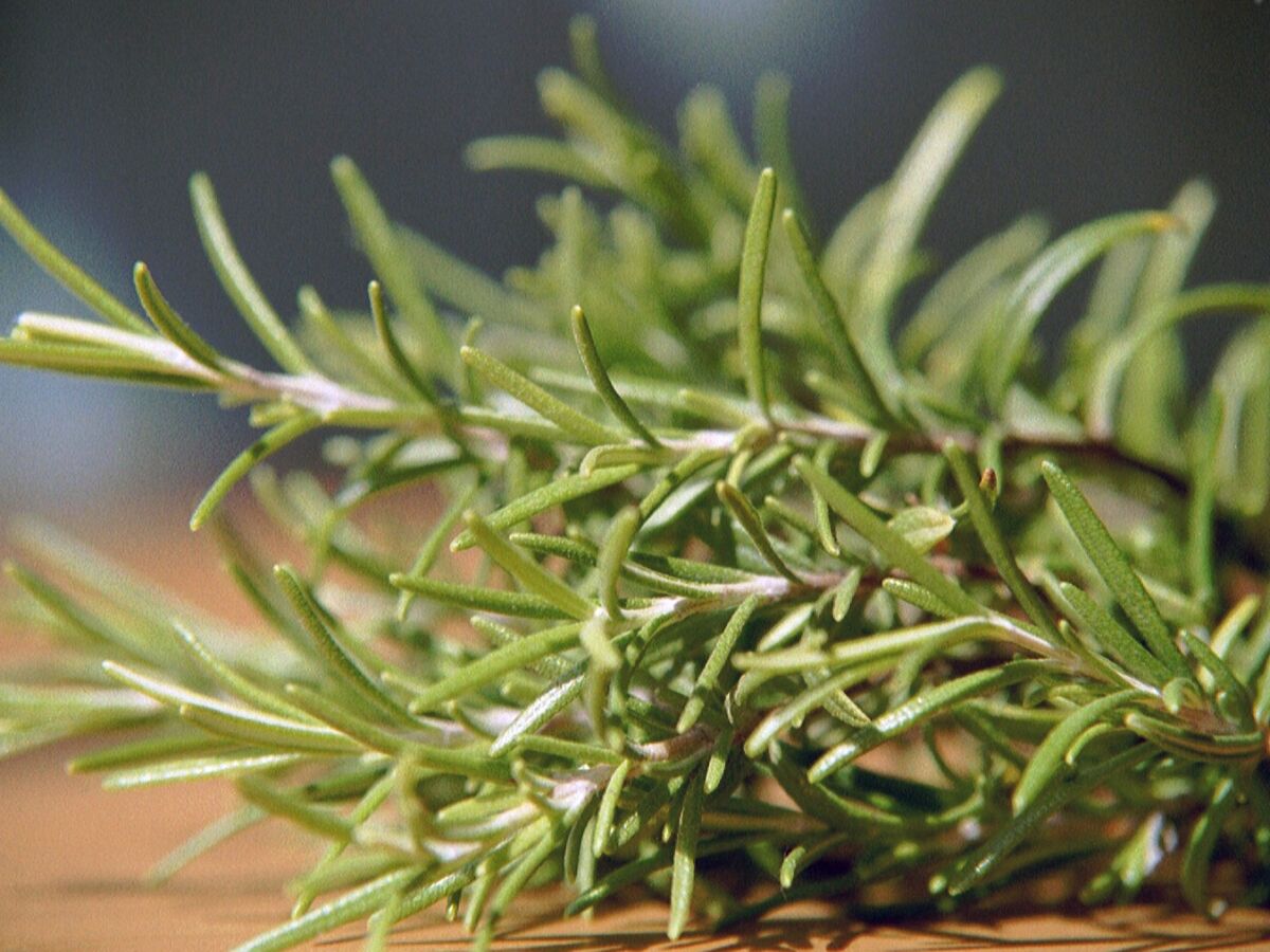 Ferienhaus Waldromantik, Elmstein, Familie Karin und Markus Jung