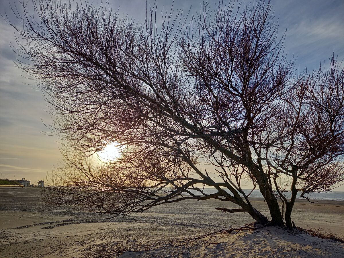 Borkum im Winter