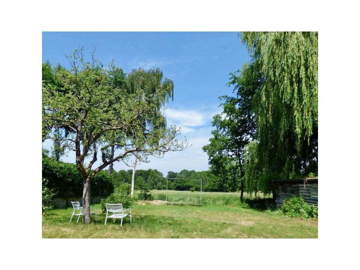 Garden with a view